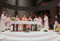 Convegno dsu Giovanni Paolo II - Concelebrazione presieduta da Mons. Rino Fisichella