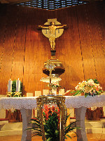 La teca contenente la Reliquia di Giovanni Paolo II davanti allAmore Misericordiso
