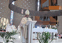 Concelebrazione presieduta da Mons. Paul Antony Mullassery