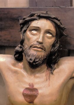 Volto crocifisso