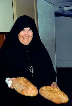 MADRE_col_pane.jpg (14619 byte)