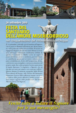 Festa del Santuario