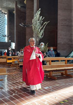 Domenica delle Palme