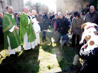 Benedizione degli animali nella festa di S. Antonio Abate